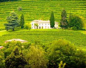 slider-winery